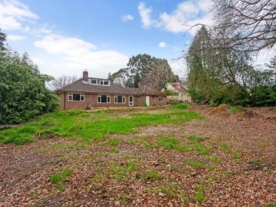 Bungalow for sale in The Paddock, Haslemere GU27