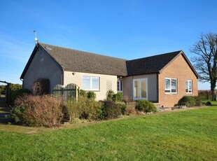 Bungalow to rent in Cuthlie, Arbroath, Angus DD11