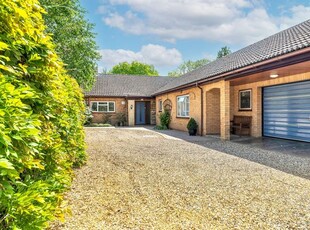 Detached bungalow for sale in Cambridge Road, Wimpole SG8