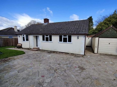 Detached bungalow for sale in Cooks Lane, Axminster EX13