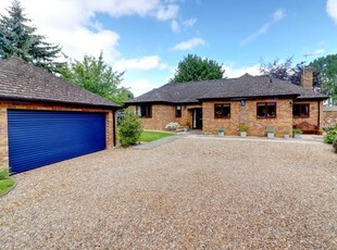 Detached bungalow for sale in Moulton Road, Pitsford, Northampton, Northamptonshire NN6