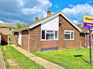 Detached bungalow to rent in Bennett Close, Walton On The Naze CO14