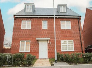 Detached house to rent in Chapel Crescent, Colchester, Essex CO4