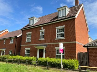 Detached house to rent in Hazel Walk, Red Lodge, Bury St. Edmunds IP28
