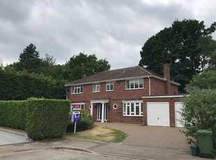 Detached house to rent in Pine Walk, Cobham, Surrey KT11