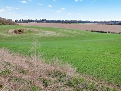 Land for sale in Beedon, Newbury, Berkshire RG20