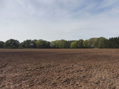 Land for sale in Berry Lane, Upton Warren, Bromsgrove B61