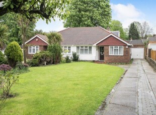 Semi-detached bungalow to rent in Chelwood Close, Epsom KT17