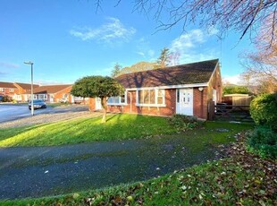 Semi-detached bungalow to rent in Rhodes Close, Taunton TA2