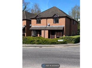 Semi-detached house to rent in Oakview, Wokingham RG40