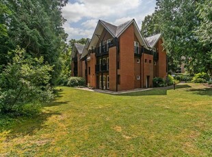 3 Bedroom Shared Living/roommate Winchester Hampshire