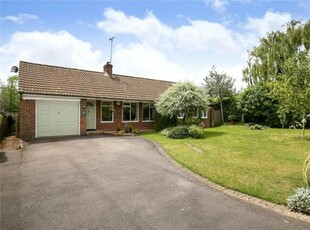 4 Bedroom Bungalow Winchester Hampshire