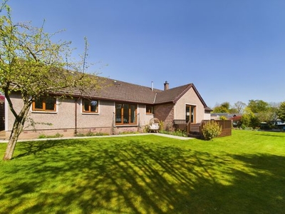Bungalow for sale in Burnhead Road, Blairgowrie, Perthshire PH10