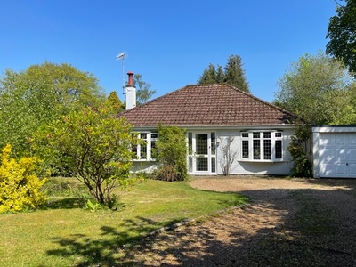Detached bungalow to rent in Chestnut Walk, Felcourt, East Grinstead RH19