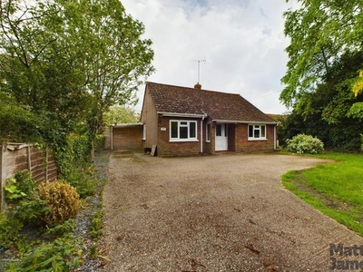 Detached bungalow to rent in Church Road, Tiptree, Colchester CO5