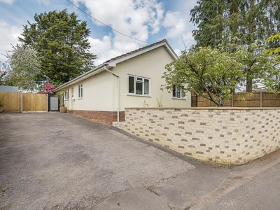 Detached bungalow to rent in Egham, Surrey TW20