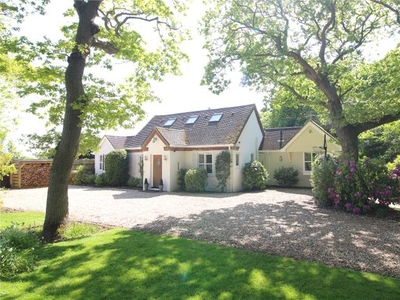 Detached house for sale in Milford Road, Barton On Sea, Hampshire BH25