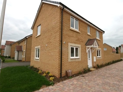 Detached house to rent in Nile Road, Exeter EX2