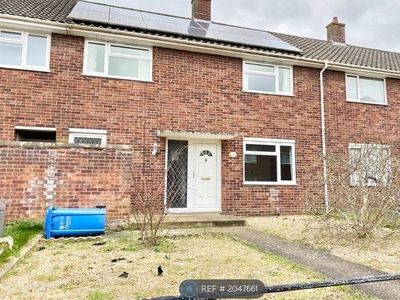 Detached house to rent in Northfields, Norwich NR4