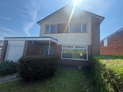 Detached house to rent in Winchester Avenue, Exeter EX4