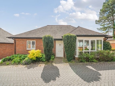 Detached house to rent in Woodstock Court, Winchester SO22