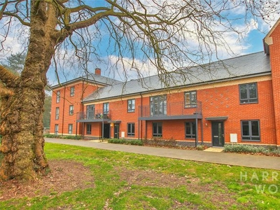 Flat to rent in Echelon Walk, Colchester CO4