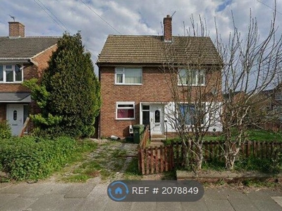 Semi-detached house to rent in Surrey Road, Stockton-On-Tees TS20