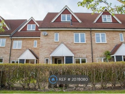 Terraced house to rent in Barnack Grove, Royston SG8