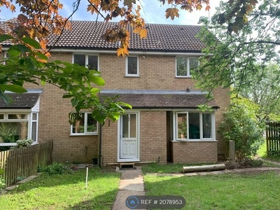 Terraced house to rent in The Sycamores, Milton, Cambridge CB24