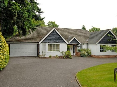 3 Bedroom Detached Bungalow For Rent In Bridle Lane, Loudwater