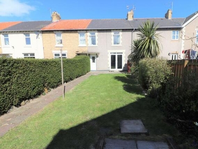 3 Bedroom Terraced House For Sale In Lynemouth