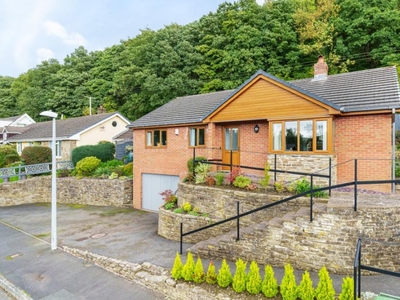 3 Bed Bungalow For Sale in Knighton, Powys, LD7 - 5200909