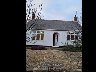 Bungalow to rent in Boston Road South, Holbeach PE12