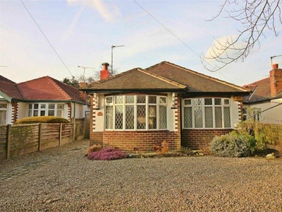 Detached bungalow to rent in Cricket Path, Formby, Liverpool L37