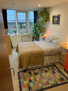 Room in a Shared Flat, Penthouse, L3