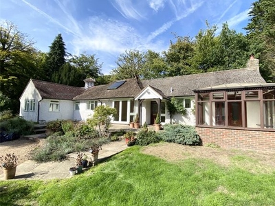 Bungalow to rent in Holmbury St. Mary, Surrey RH5