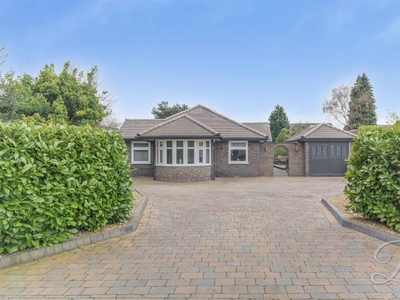 Detached bungalow for sale in Poplar Grove, Forest Town, Mansfield NG19