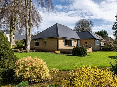 Detached bungalow for sale in Worksop Road, Clowne, Chesterfield S43