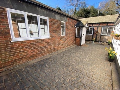 Detached bungalow to rent in Valley End, Chobham, Woking GU24