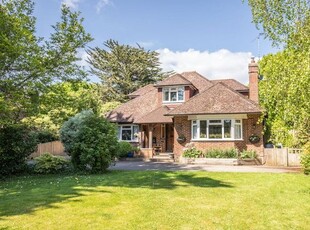 Detached house for sale in Vines Cross Road, Horam, East Sussex TN21