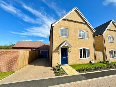Detached house to rent in Phoenix Way, Norwich NR5