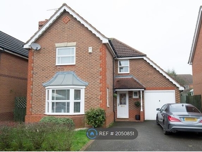Detached house to rent in Robinia Close, Lutterworth LE17