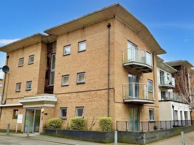 Flat to rent in Caelum Drive, Colchester CO2