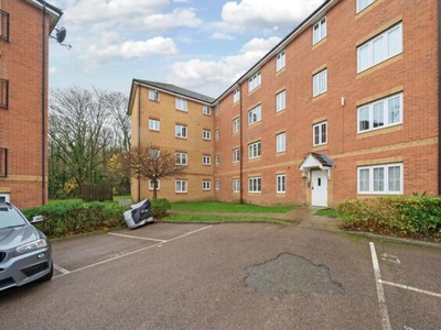 1 Bedroom Shared Living/roommate Harlow Essex