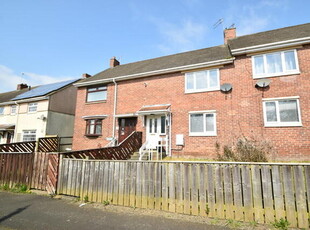 2 Bedroom Terraced House For Sale In South Stanley