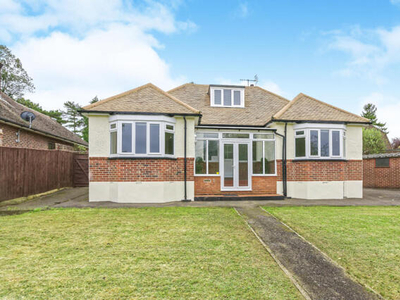 3 Bedroom Bungalow For Rent In Leatherhead