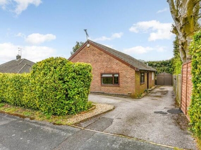 3 Bedroom Bungalow For Sale In Four Marks, Alton