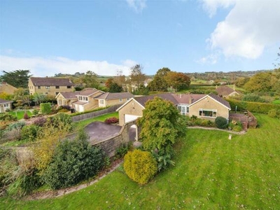 3 Bedroom Detached Bungalow For Sale In Beaminster