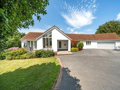 4 Bedroom Bungalow Churston Ferrers Devon