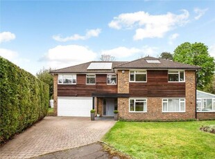 4 Bedroom House Cobham Surrey